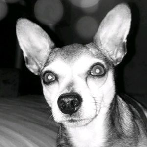 Meet your Posher, Isabelle